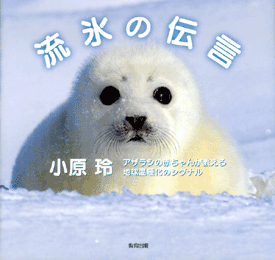 流氷の伝言