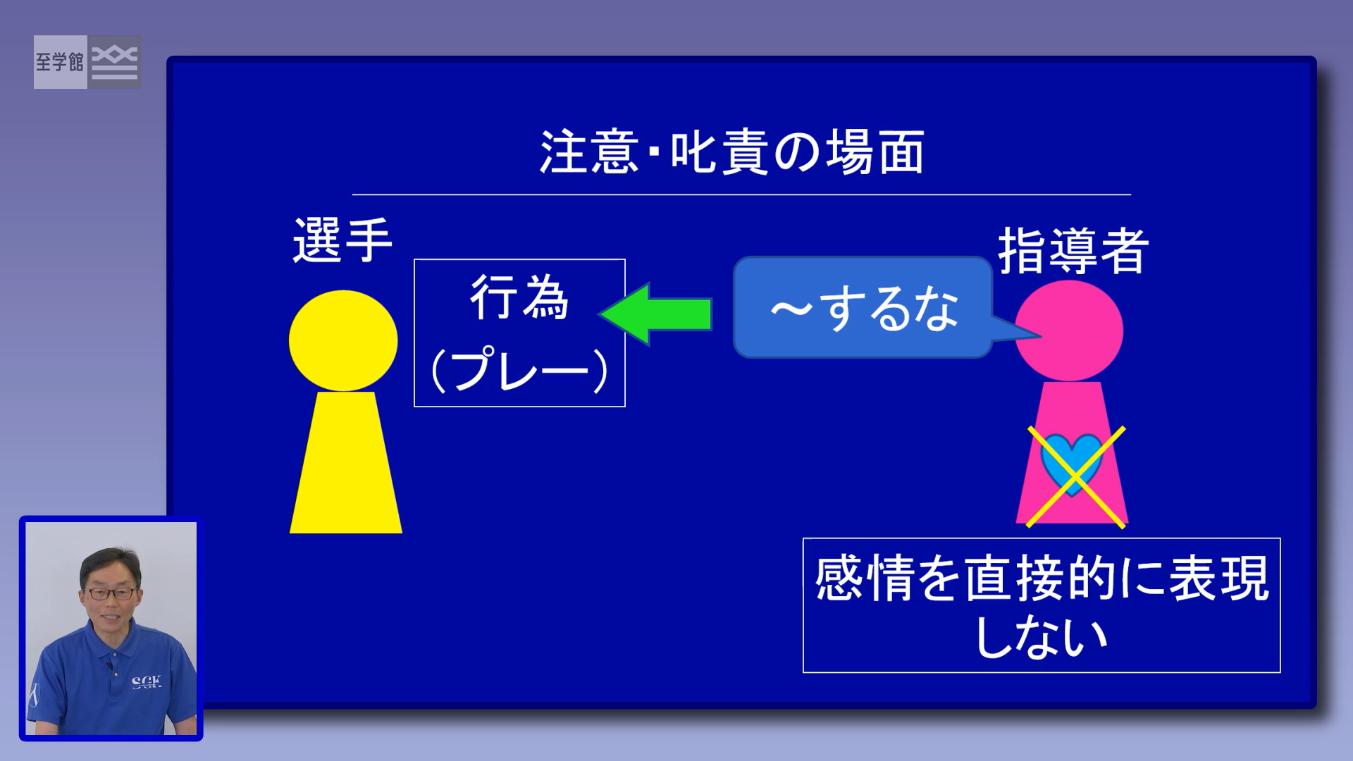 動画例２