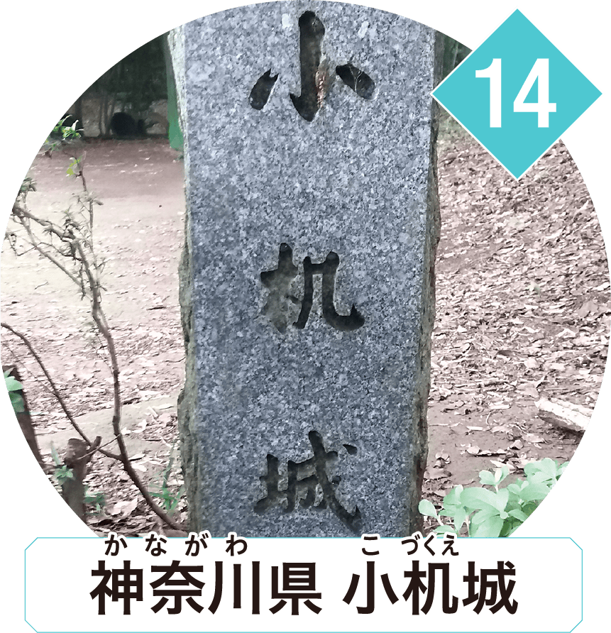 神奈川県 小机城
