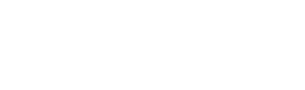 バッハ――様々な構成的・声楽曲的工夫
