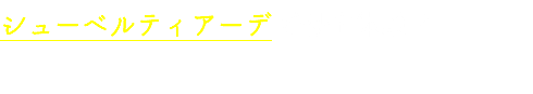 シューベルティアーデで恐怖体験？