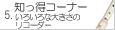 5.mR[i[@낢ȑ傫̃R[_[