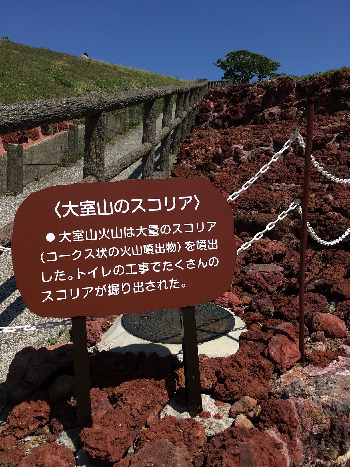 大室山のスコリア