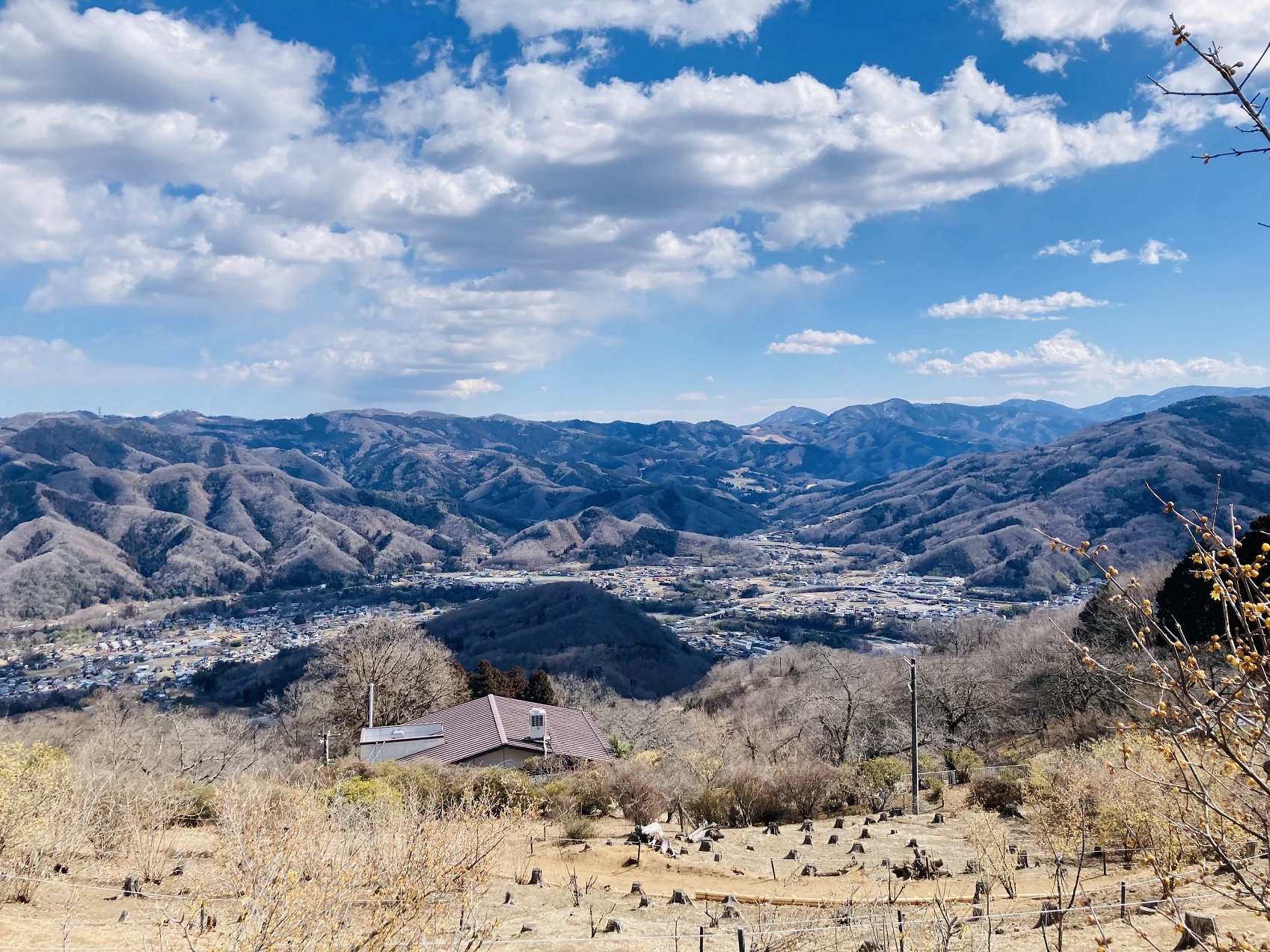 宝登山から見る皆野町・秩父市街