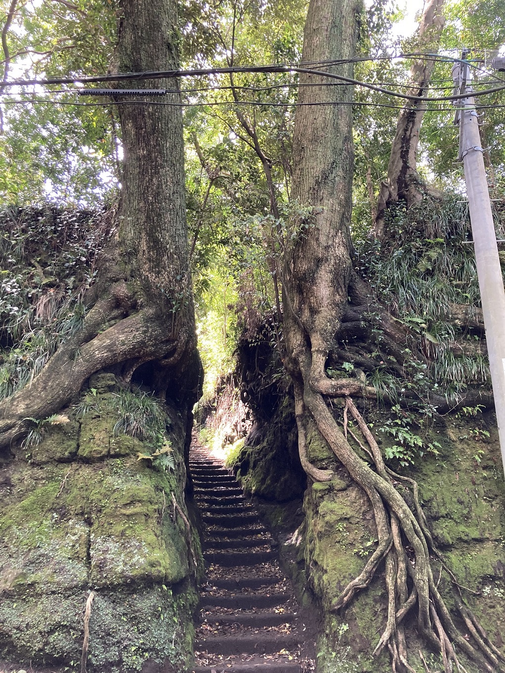 泉津の切通し