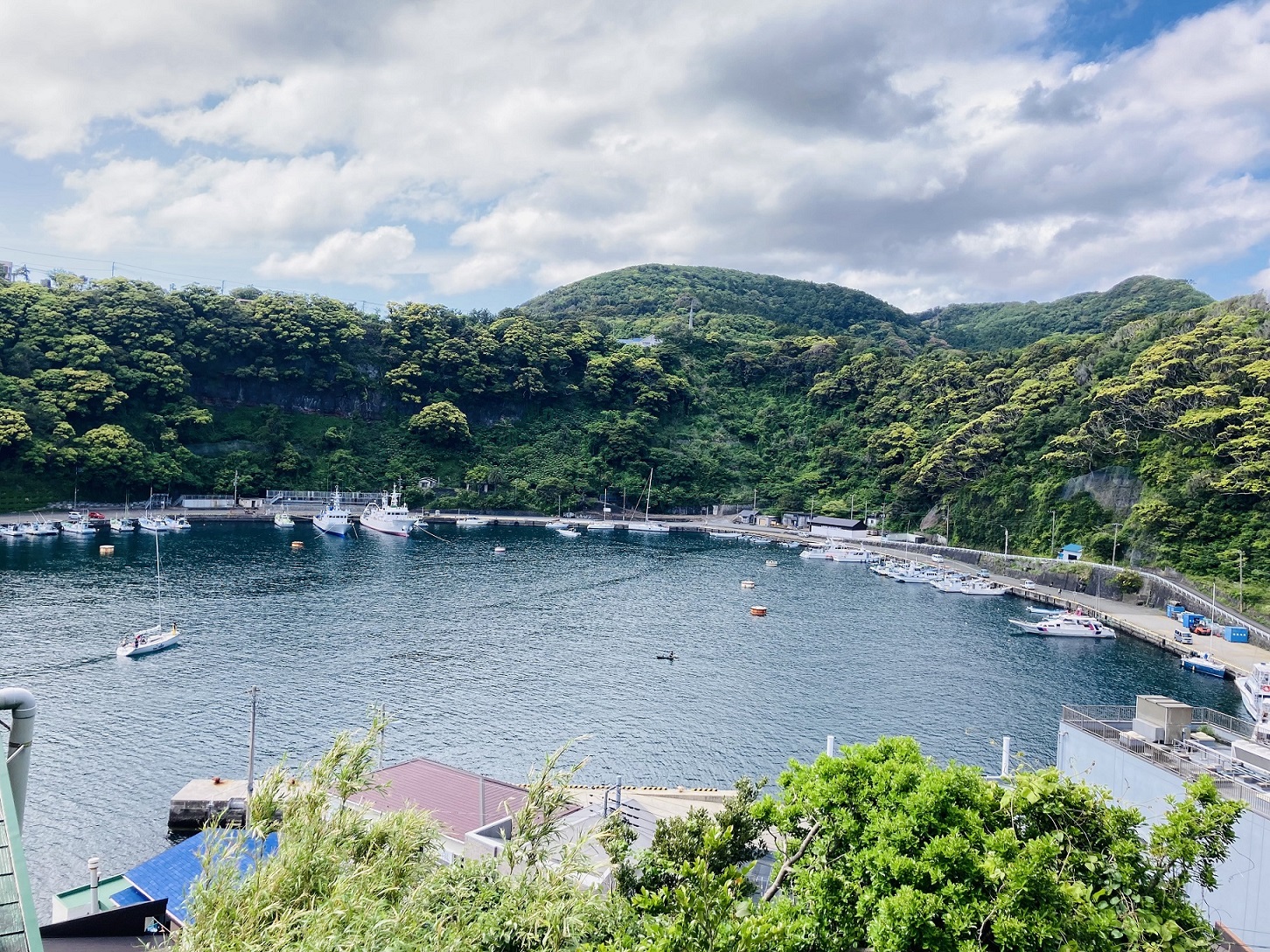大島南部の波浮港