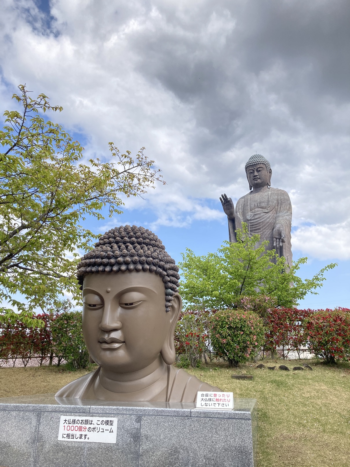 牛久大仏と頭部の模型