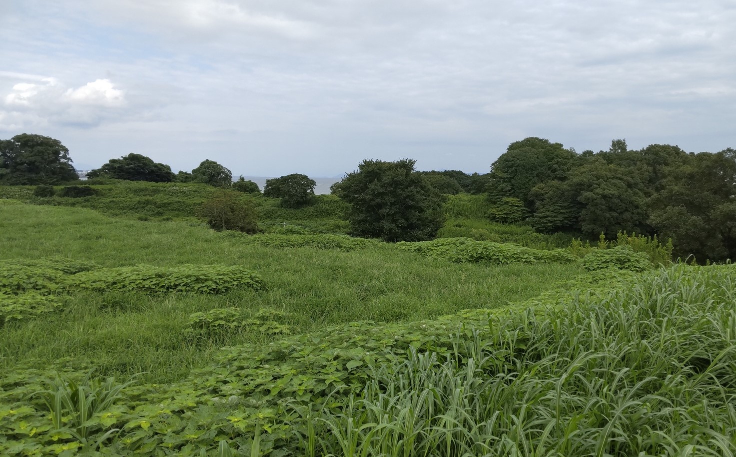 島原の乱が終結した原城跡