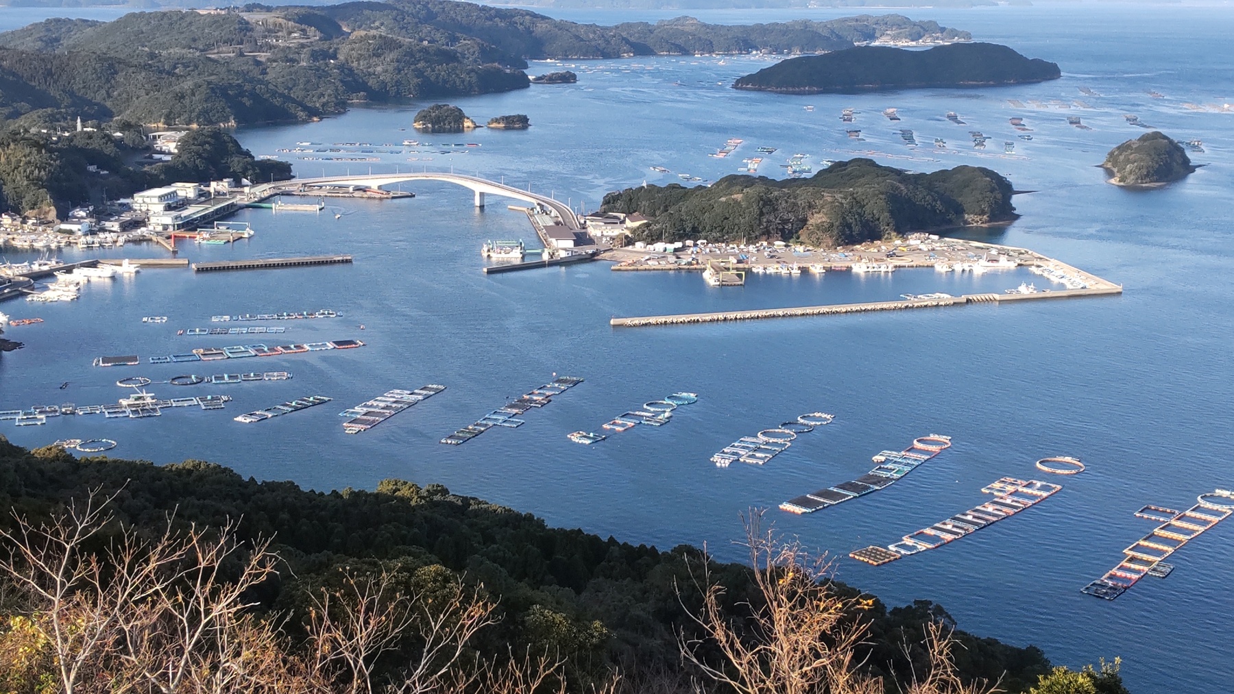 日本一の養殖ブリの生産漁場