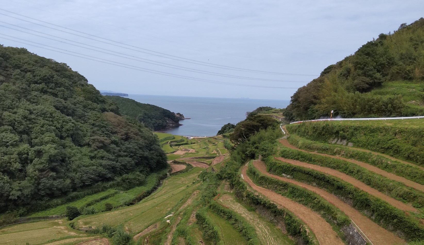 日本の棚田百選の浜野浦の棚田