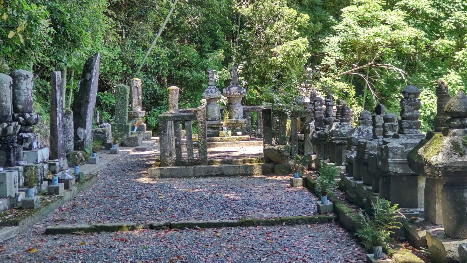 薩州島津家の墓所