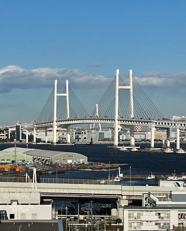 港の見える丘公園から横浜港を望む