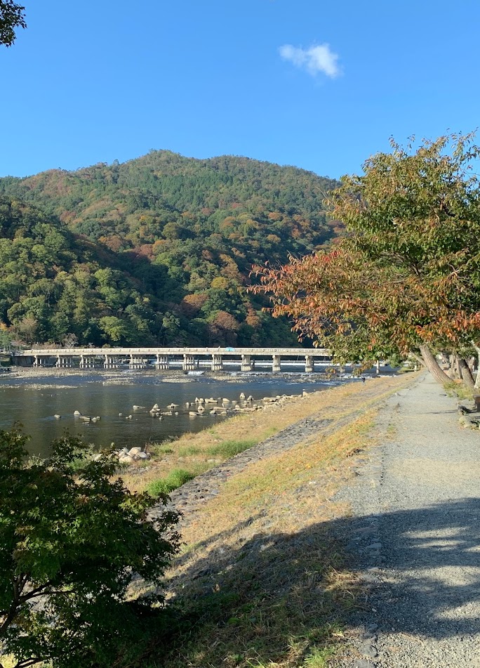 秋の早朝の渡月橋