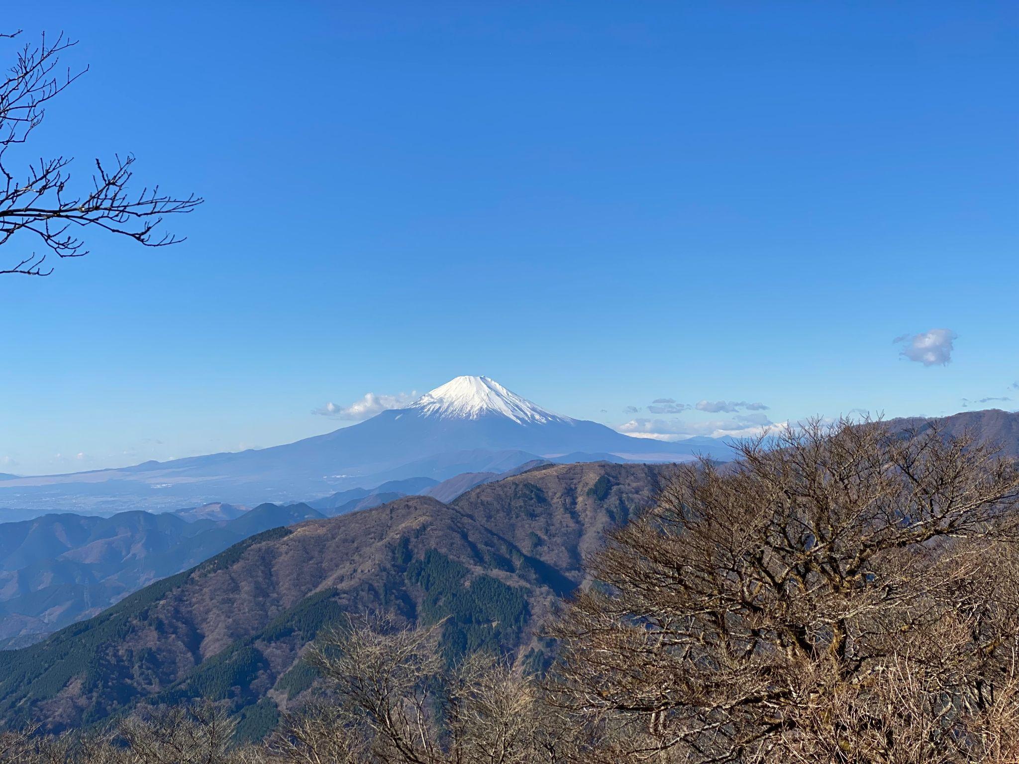 大山山頂から富士山を望む