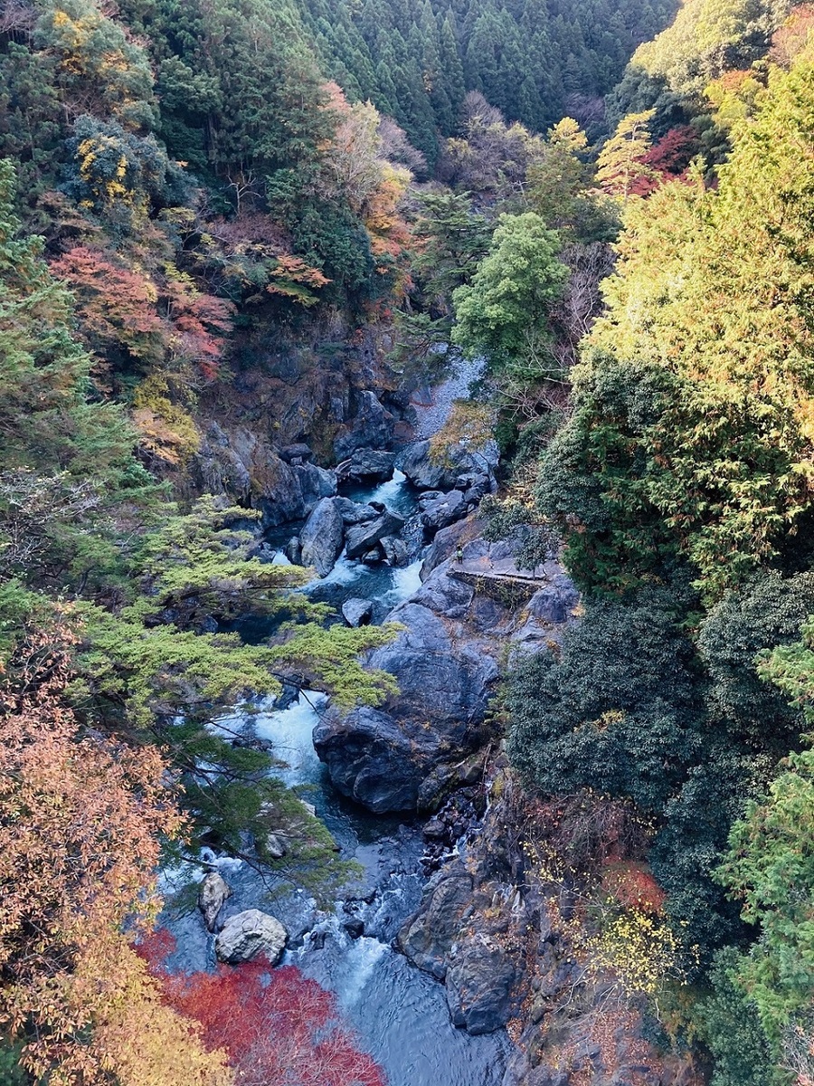 鳩ノ巣渓谷の紅葉