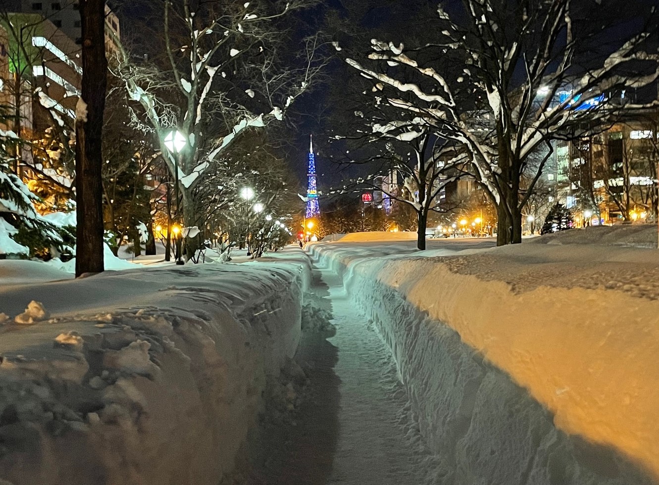 大雪の翌日の札幌大通公園