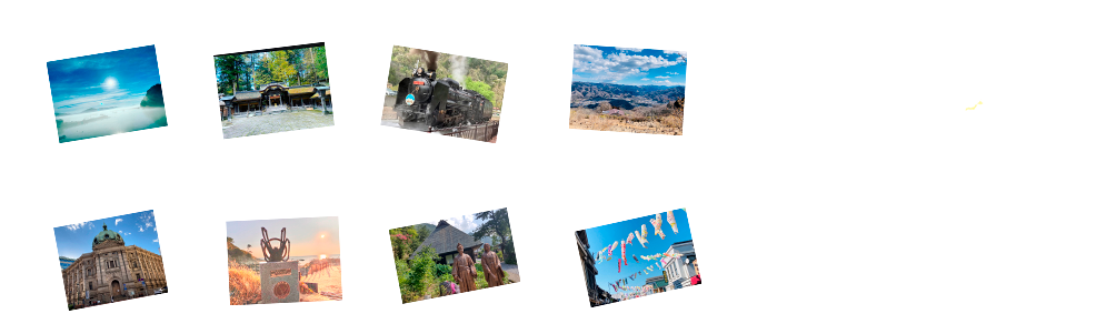 まっぴんぐま　写真募集中