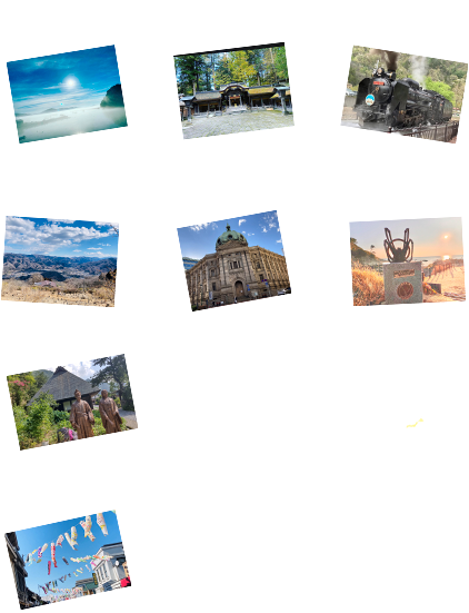 まっぴんぐま　写真募集中