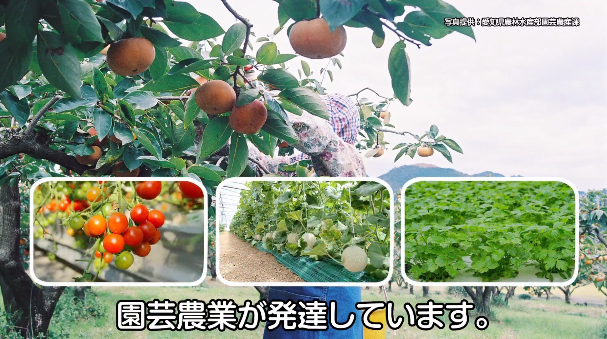 先進的な第一次産業 動画イメージ