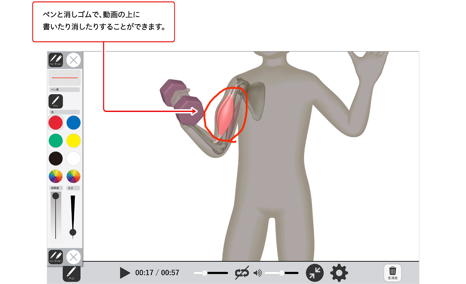 動画への書き込み機能 イメージ