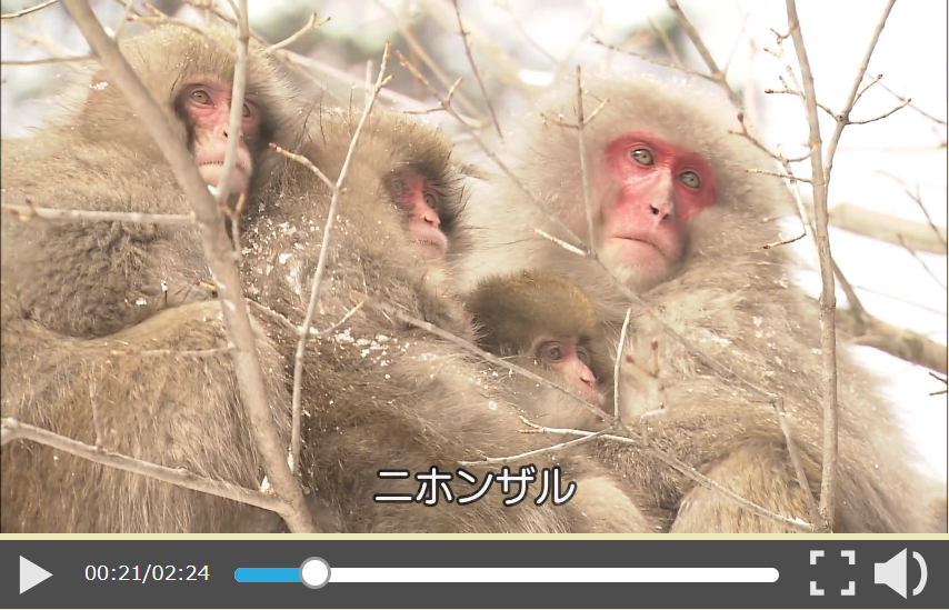 動画教材 イメージ
