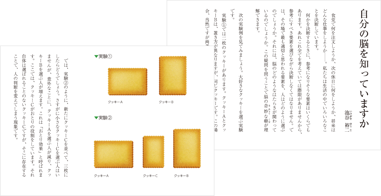 本文拡大 イメージ