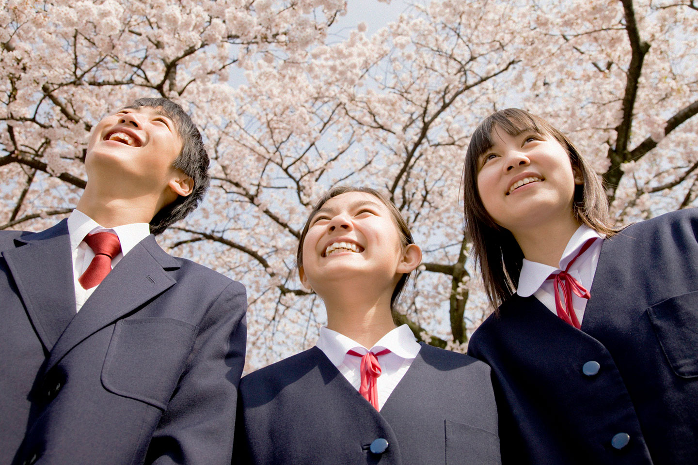 桜の木の下で生徒たちが談笑している様子