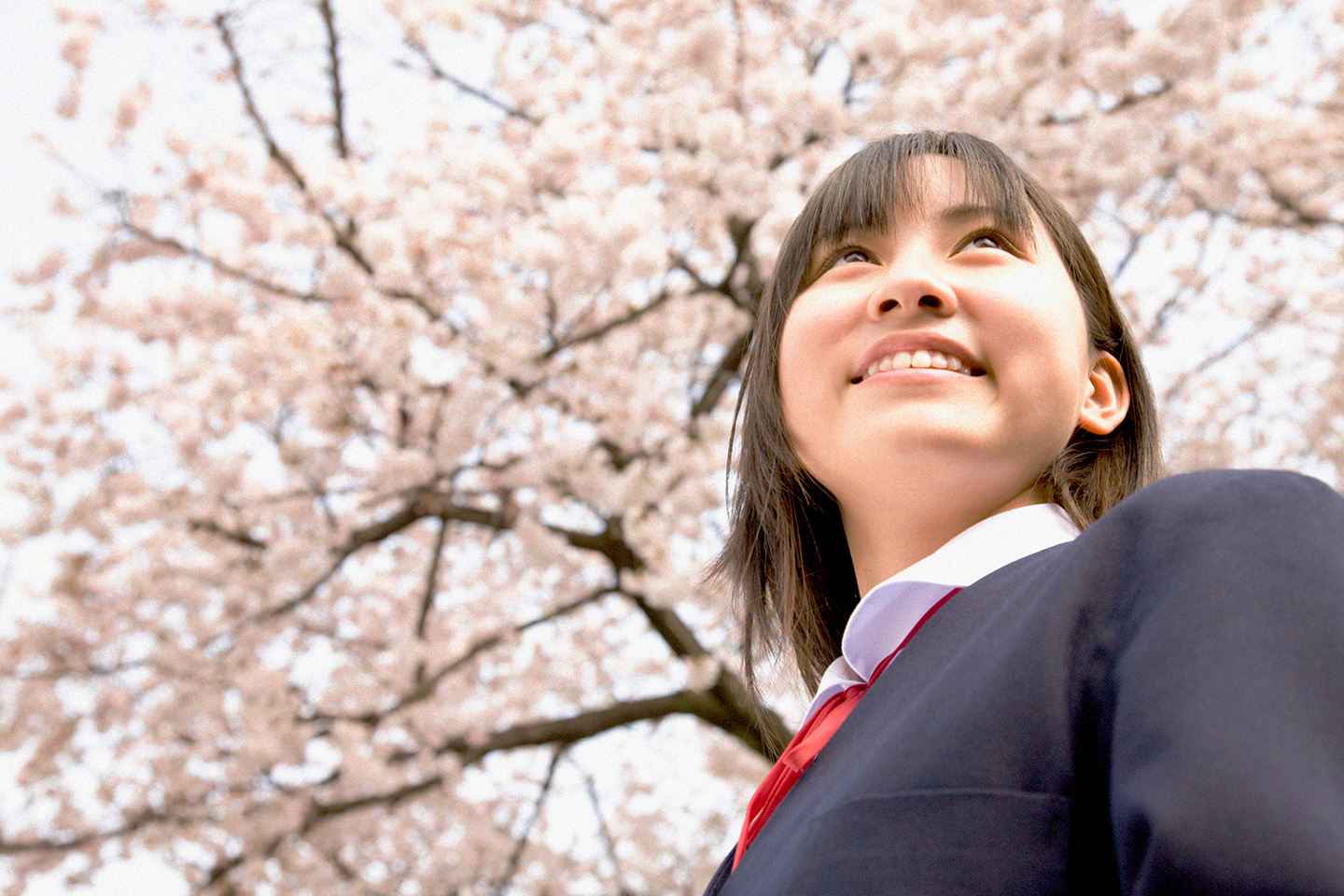 桜の木の下で生徒が談笑している様子