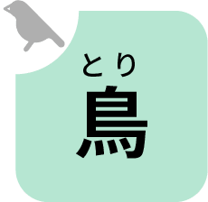 とりのなかま