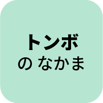 トンボのなかま