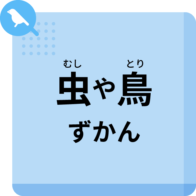 虫や鳥ずかん