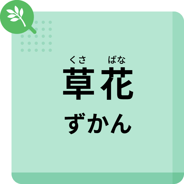 草花ずかん
