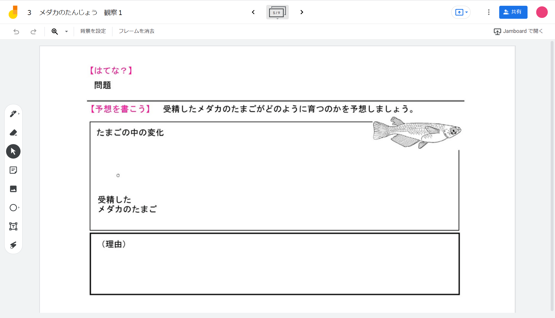 img理科