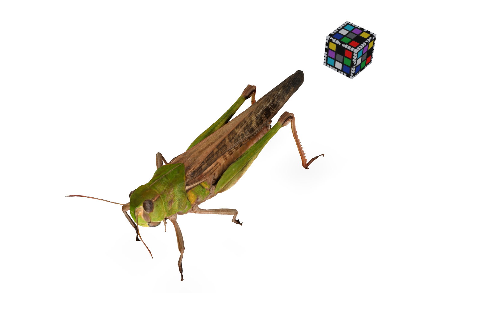 img1