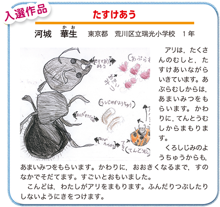 作品名［たすけあう］の説明画像