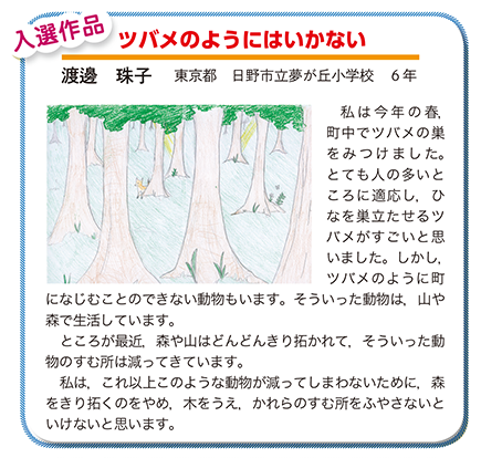 作品名［ツバメのようにはいかない］の説明画像