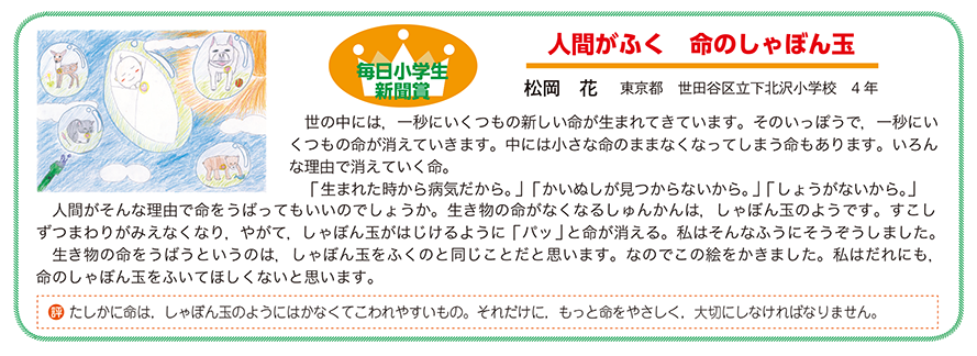 作品名［人間がふく命のしゃぼん玉］の説明画像