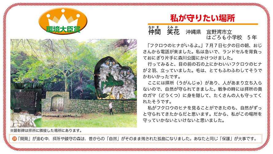 作品名［私が守りたい場所］の説明画像