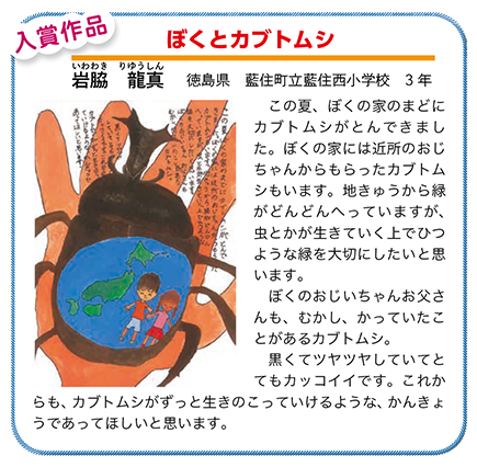 作品名［ぼくとカブトムシ］の説明画像