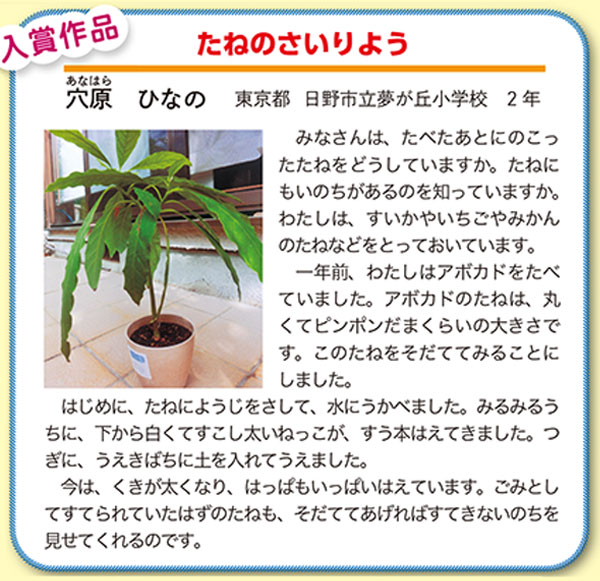 作品名［たねのさいりよう］の説明画像
