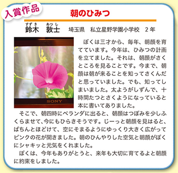 作品名［朝のひみつ］の説明画像