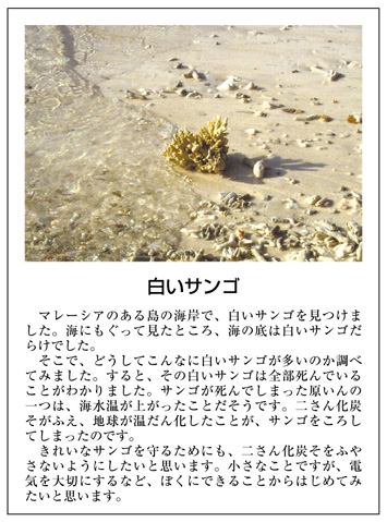 作品名［白いサンゴ］の説明画像