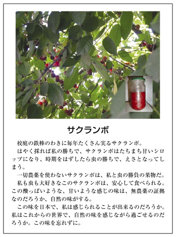 作品名［サクランボ］の説明画像