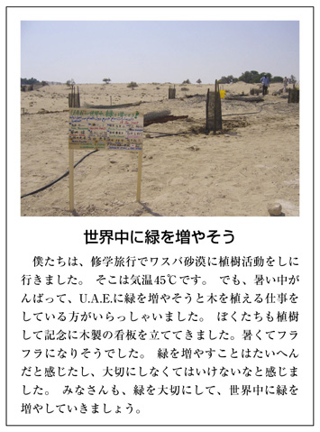 作品名［世界中に緑を増やそう］の説明画像