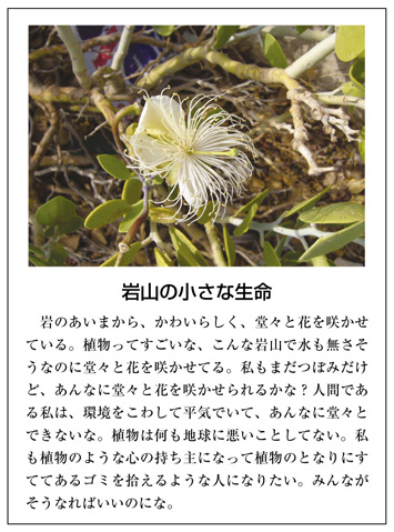 作品名［岩山の小さな生命］の説明画像
