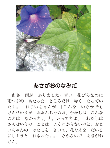 作品名［あさがおのなみだ］の説明画像