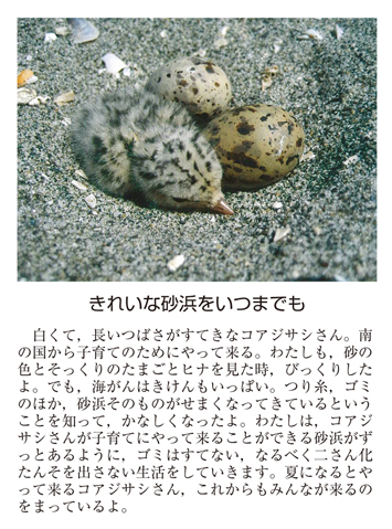 作品名［きれいな砂浜をいつまでも］の説明画像