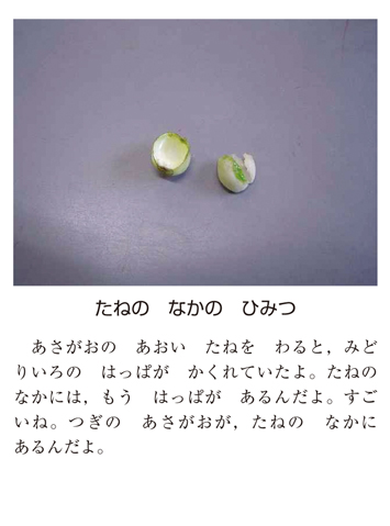 作品名［たねの　なかの　ひみつ］の説明画像