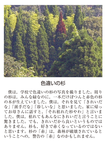 作品名［色違いの杉］の説明画像
