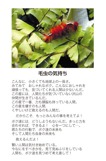 作品名［毛虫の気持ち］の説明画像